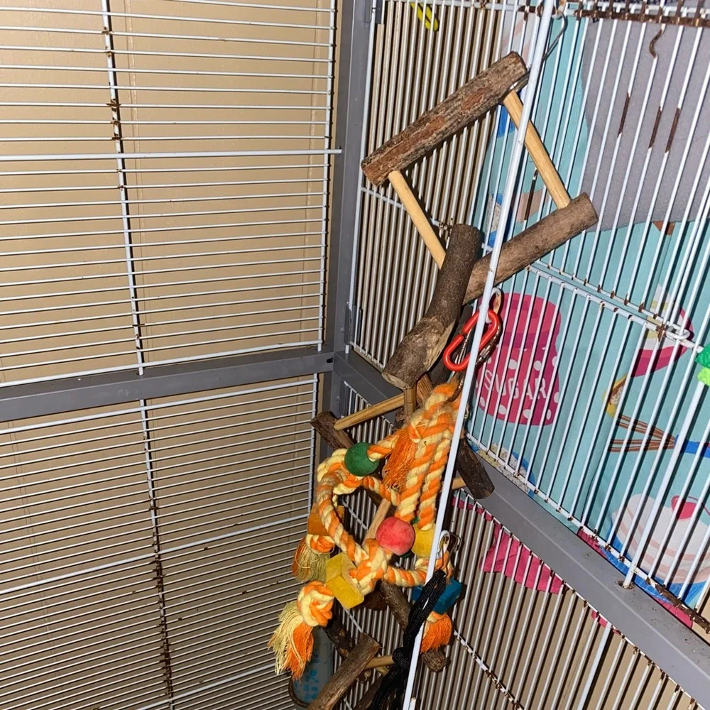 Bird “House”